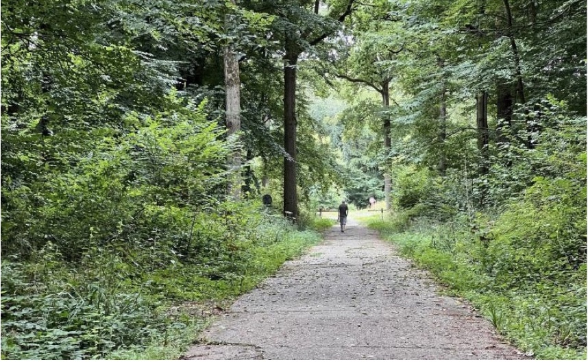 le bois des huit rues canton de la forêt de Nieppe Morbecque (photo ONF)