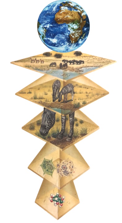 Donc la biodiversité elle est en dessous de l’espèce en quelque sorte puisque c’est aussi de la diversité génétique, mais aussi au-dessus des espèces parce que c’est la diversité des assemblages d’espèces à un endroit donné ou dans un écosystème donné. Et l’ensemble des écosystèmes forme la biosphère. Et c’est toujours ça la biodiversité parce que : La biodiversité c’est avant tout un mécanisme.