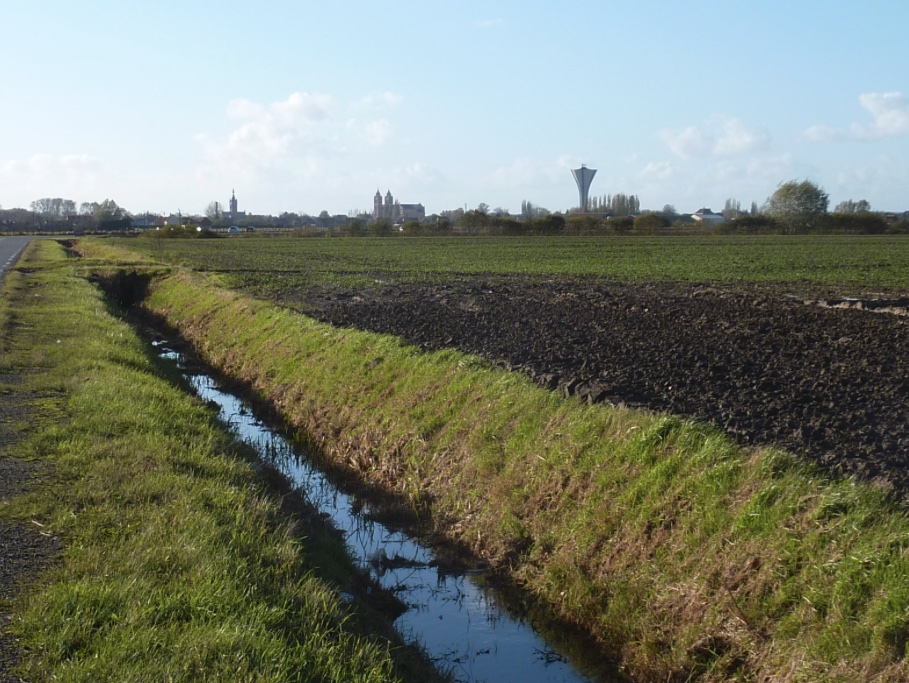 paysages de la plaine de la Lys