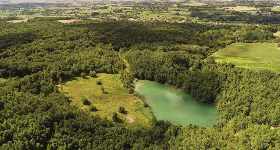 En plein cœur de la Flandre maritime, le Lac bleu, ou vert selon les jours, surprend lorsqu’on se penche sur son histoire. Jusque dans les années 1980, il s’agissait d’une carrière d'argile exploitée pour la fabrication de tuiles ! Aujourd’hui le lieu renferme un écosystème unique puisqu’on y croise faucons, sangliers et chevreuils.